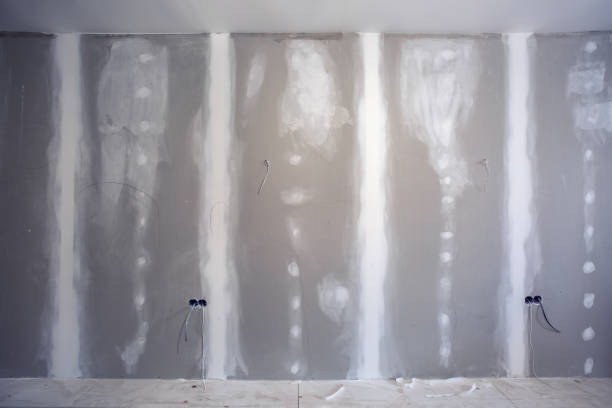 Best Mold Prevention Services  in Whitestown, IN